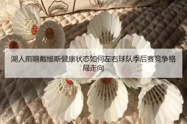 湖人前瞻戴维斯健康状态如何左右球队季后赛竞争格局走向